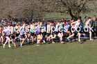 Boys under-15s 2025 UK CAU Inter Counties Cross Country Champs., Wollaton Park, Nottingham. Photo: David T. Hewitson/Sports for All Pics